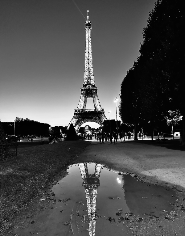 The Eiffel Tower's reflection from a puddle